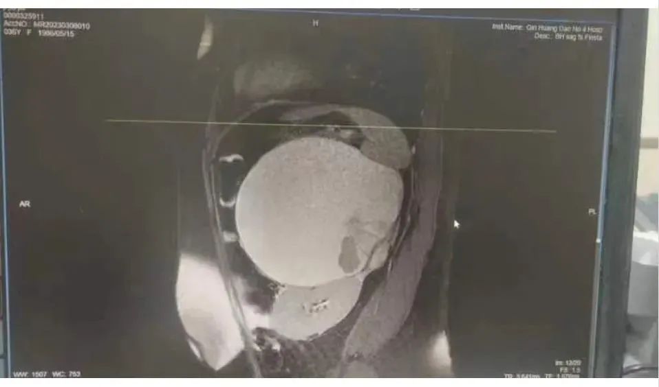 微信圖片_20230327101421.jpg 圖片