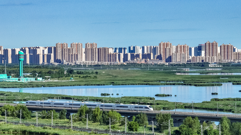 2025年8月17日，一列動車組列車駛過大慶東站。